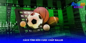 Thể Thao Ball88: 5 Mẹo Lật Kèo Nhà Cái Thắng 80%